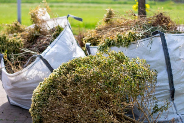 Best Junk Removal Near Me  in Roseville, CA